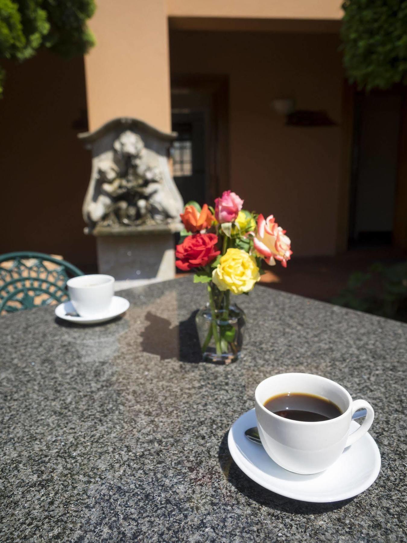 The Elegant Lodge Menlo Park Pretoria Luaran gambar